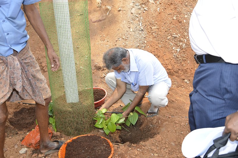 03Apr2014_00040 (137).JPG